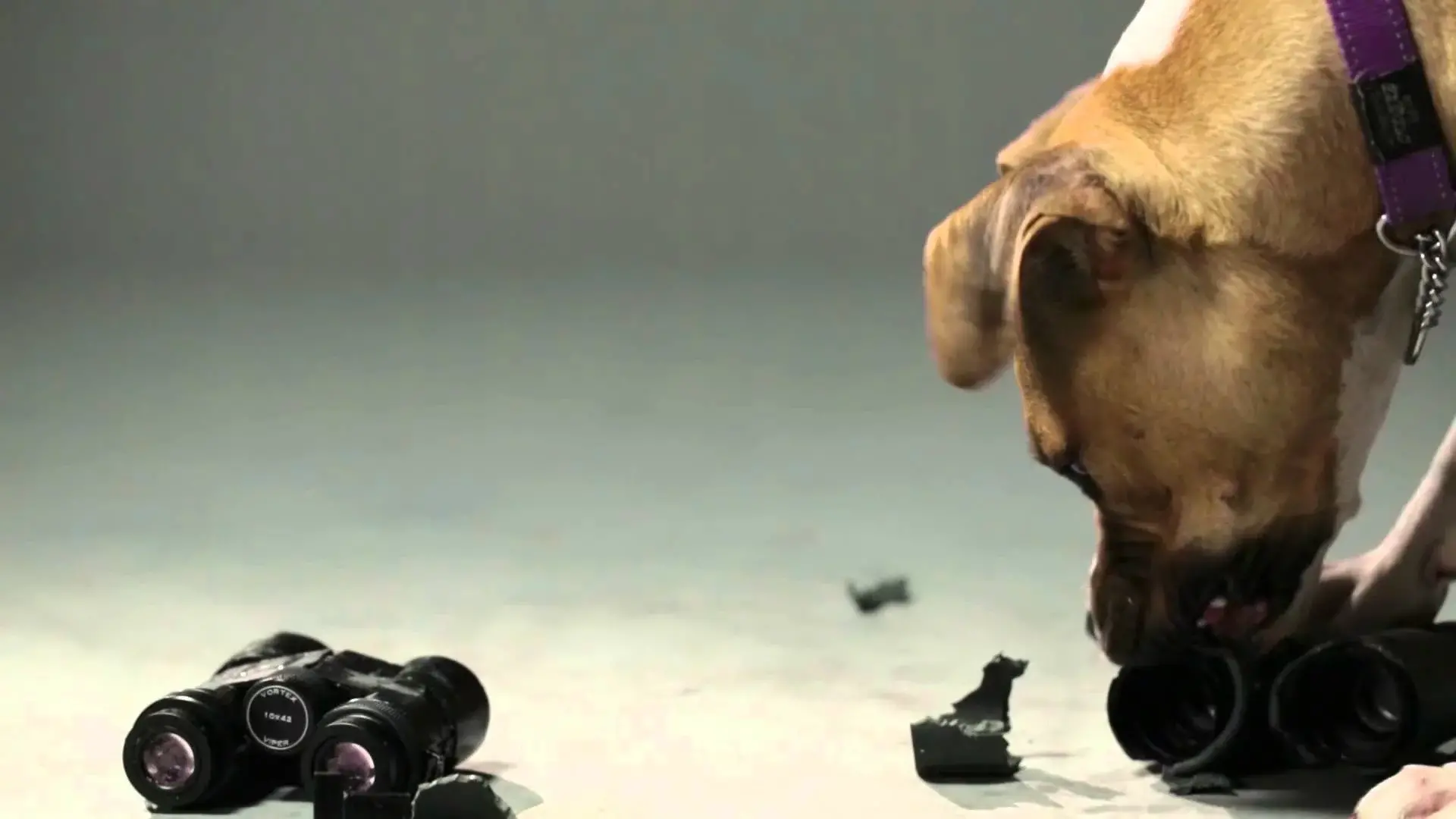 Lornetka Vortex Vulture HD 8x56 7