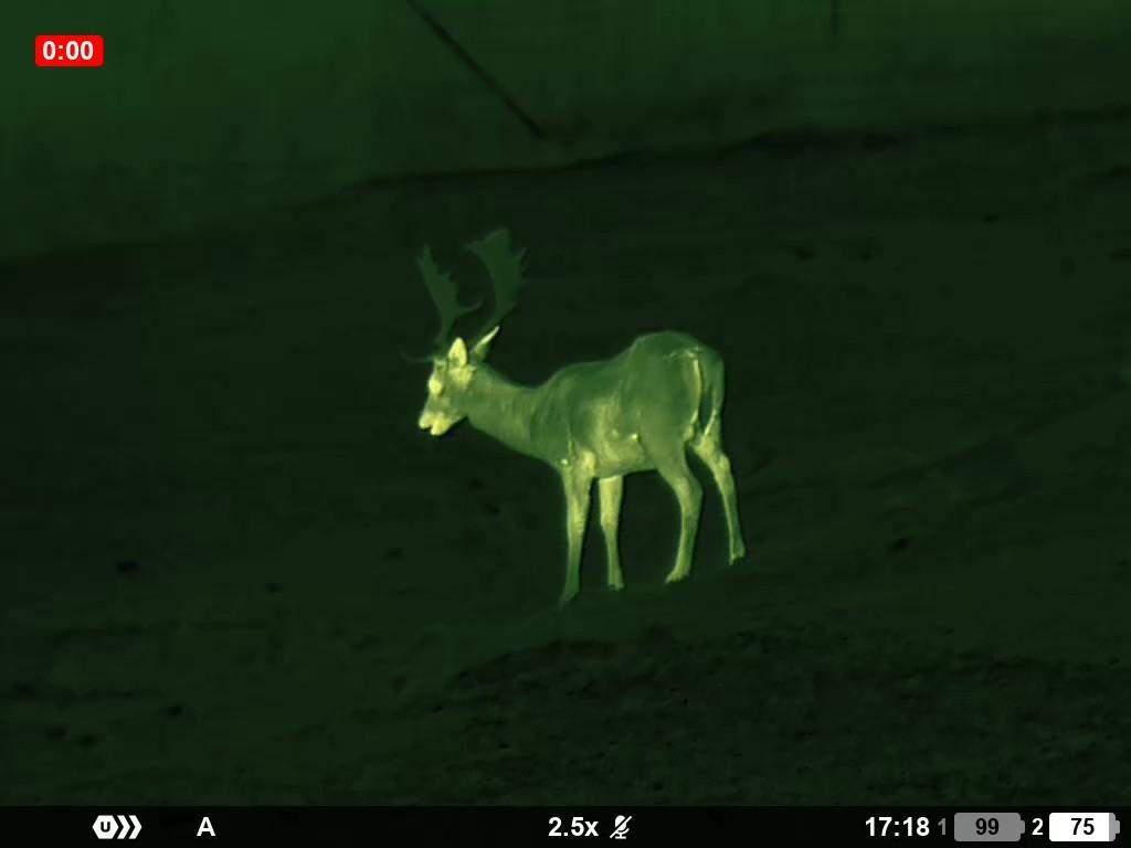 Pulsar ORYX LRF XG35 6