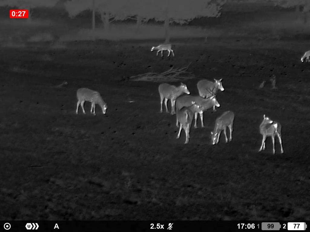 Pulsar ORYX LRF XG35 7